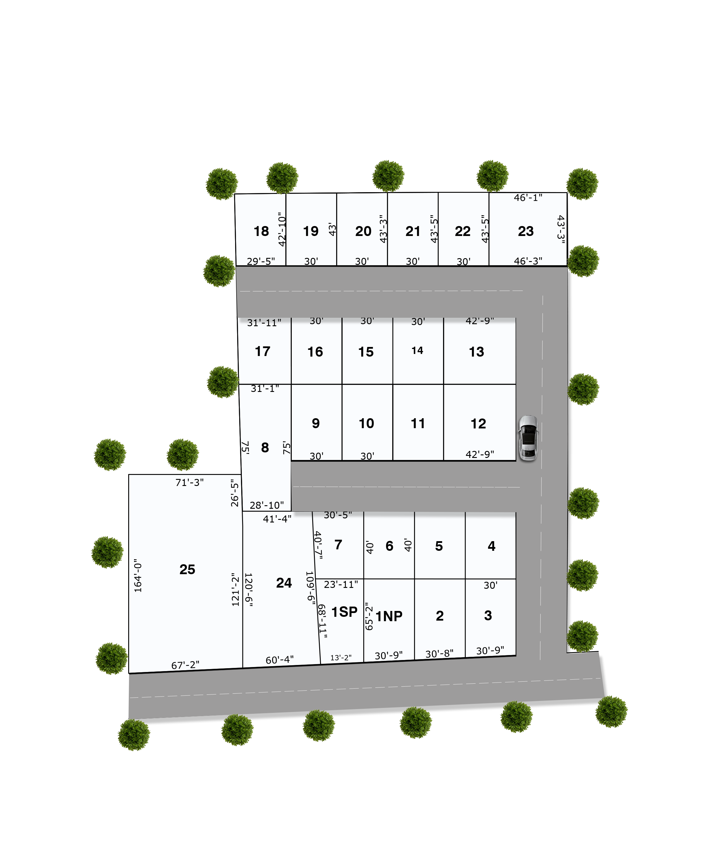 Layout 1